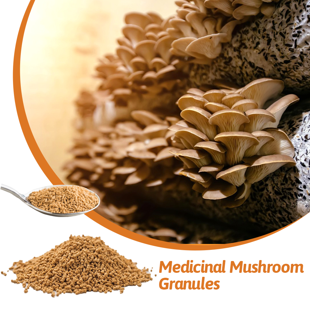 Medicinal-Mushroom-Granules